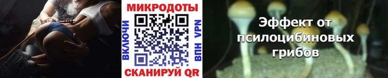 Псилоцибиновые грибы мицелий  Нерюнгри 